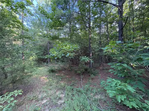80 Acres Off Of Sr 164 W, Dover, AR 72837 photo 45