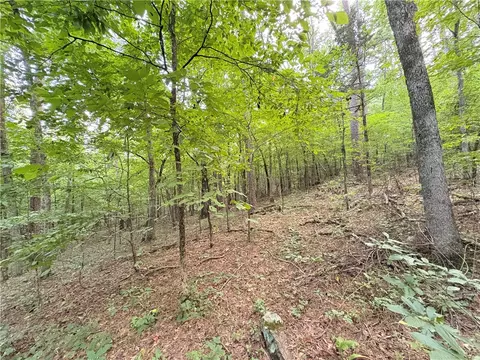 80 Acres Off Of Sr 164 W, Dover, AR 72837 photo 39