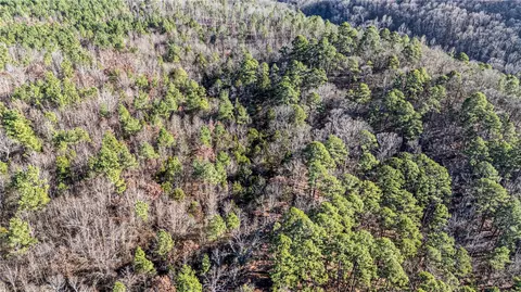 80 Acres Off Of Sr 164 W, Dover, AR 72837 photo 30