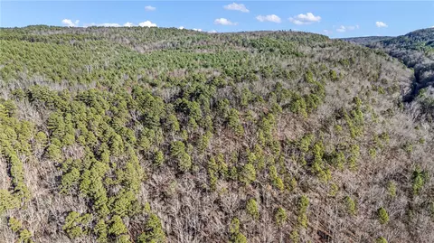 80 Acres Off Of Sr 164 W, Dover, AR 72837 photo 37