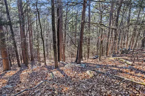 80 Acres Off Of Sr 164 W, Dover, AR 72837 photo 16