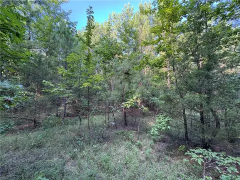 80 Acres Off Of Sr 164 W, Dover, AR 72837 photo 46