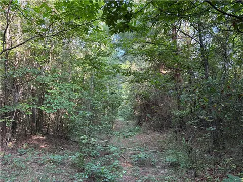80 Acres Off Of Sr 164 W, Dover, AR 72837 photo 47