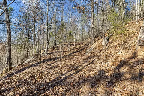 80 Acres Off Of Sr 164 W, Dover, AR 72837 photo 7