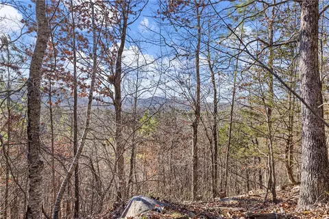 80 Acres Off Of Sr 164 W, Dover, AR 72837 photo 8