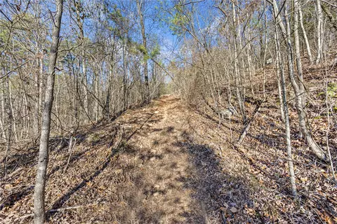 80 Acres Off Of Sr 164 W, Dover, AR 72837 photo 10