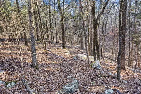 80 Acres Off Of Sr 164 W, Dover, AR 72837 photo 18