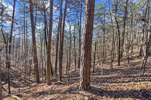 80 Acres Off Of Sr 164 W, Dover, AR 72837 photo 20