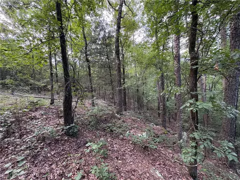 80 Acres Off Of Sr 164 W, Dover, AR 72837 photo 42