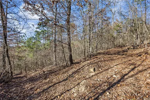 80 Acres Off Of Sr 164 W, Dover, AR 72837 photo 9