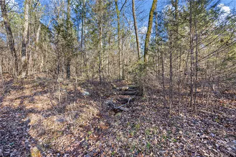 80 Acres Off Of Sr 164 W, Dover, AR 72837 photo 14