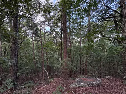 80 Acres Off Of Sr 164 W, Dover, AR 72837 photo 43