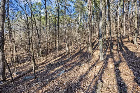80 Acres Off Of Sr 164 W, Dover, AR 72837 photo 21