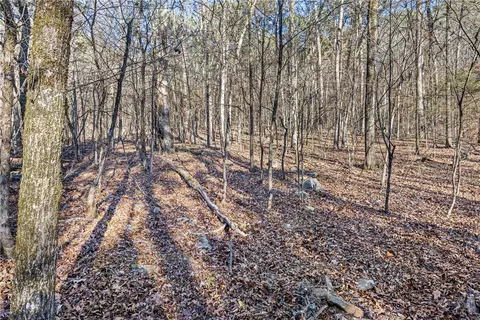 80 Acres Off Of Sr 164 W, Dover, AR 72837 photo 22