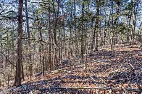 80 Acres Off Of Sr 164 W, Dover, AR 72837 photo 17