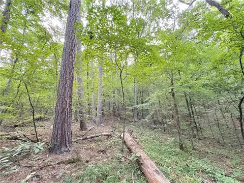 80 Acres Off Of Sr 164 W, Dover, AR 72837 photo 38