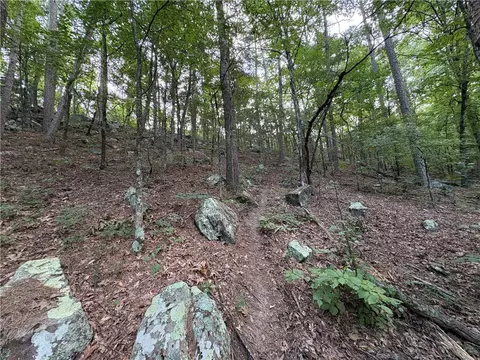 80 Acres Off Of Sr 164 W, Dover, AR 72837 photo 41