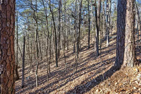 80 Acres Off Of Sr 164 W, Dover, AR 72837 photo 19