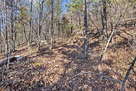 80 Acres Off Of Sr 164 W, Dover, AR 72837 photo 6