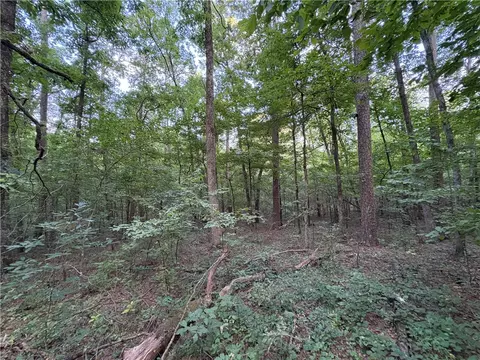 80 Acres Off Of Sr 164 W, Dover, AR 72837 photo 40