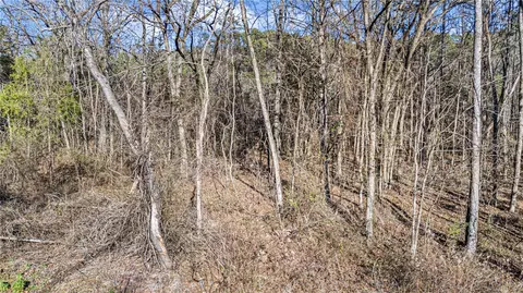 80 Acres Off Of Sr 164 W, Dover, AR 72837 photo 24