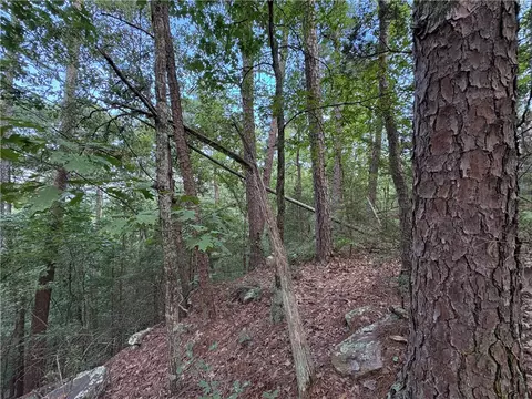 80 Acres Off Of Sr 164 W, Dover, AR 72837 photo 44