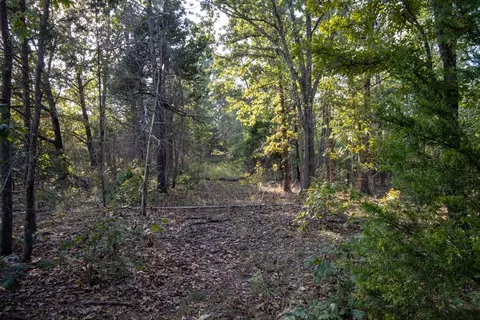 0000 Mcfarr Trl, Ravenden, AR 72459 photo 28