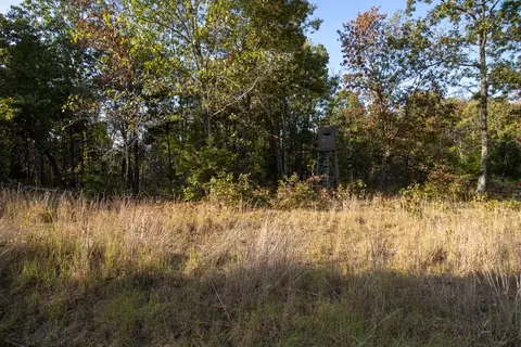 0000 Mcfarr Trl, Ravenden, AR 72459 photo 27