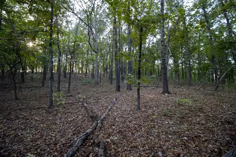 0000 Mcfarr Trl, Ravenden, AR 72459 photo 33