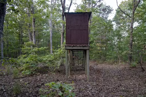 0000 Mcfarr Trl, Ravenden, AR 72459 photo 54