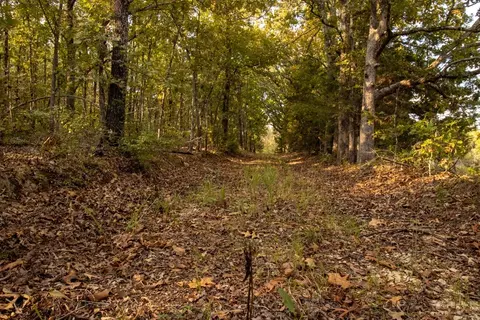 0000 Mcfarr Trl, Ravenden, AR 72459 photo 20