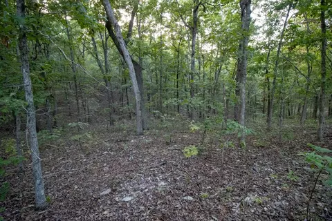 0000 Mcfarr Trl, Ravenden, AR 72459 photo 52