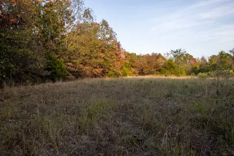 0000 Mcfarr Trl, Ravenden, AR 72459 photo 43