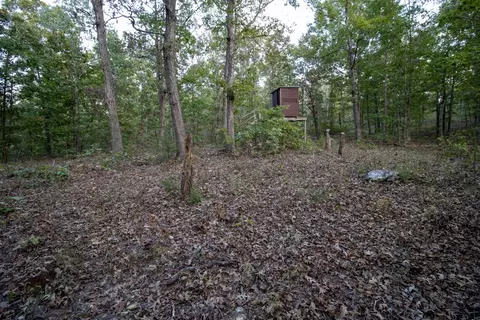 0000 Mcfarr Trl, Ravenden, AR 72459 photo 56