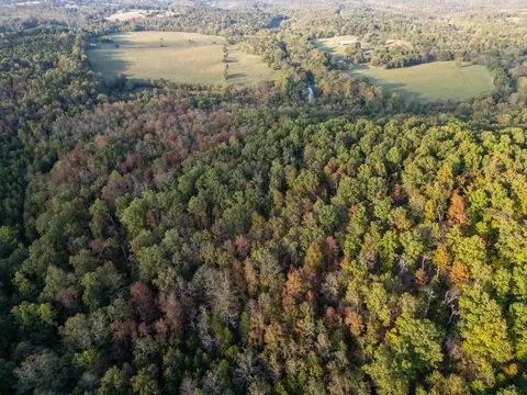 0000 Mcfarr Trl, Ravenden, AR 72459 photo 9