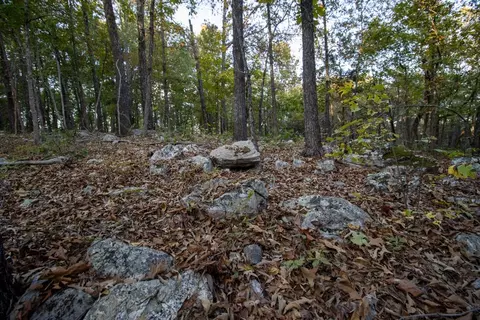 0000 Mcfarr Trl, Ravenden, AR 72459 photo 35