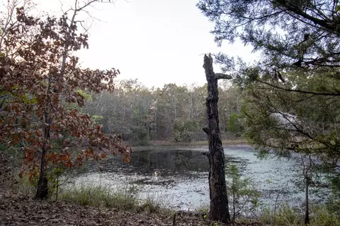 0000 Mcfarr Trl, Ravenden, AR 72459 photo 50