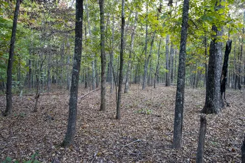 0000 Mcfarr Trl, Ravenden, AR 72459 photo 30
