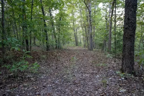 0000 Mcfarr Trl, Ravenden, AR 72459 photo 60
