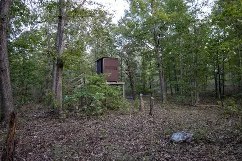 0000 Mcfarr Trl, Ravenden, AR 72459 photo 55
