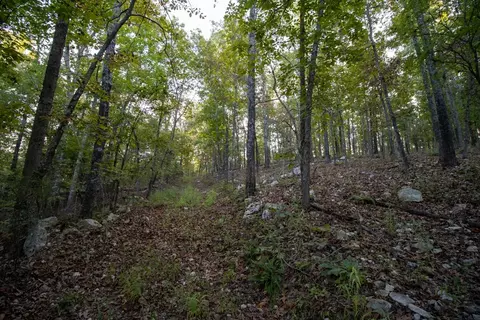 0000 Mcfarr Trl, Ravenden, AR 72459 photo 40