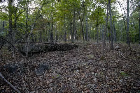 0000 Mcfarr Trl, Ravenden, AR 72459 photo 39