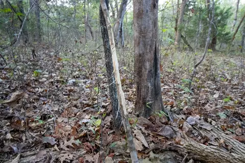 0000 Mcfarr Trl, Ravenden, AR 72459 photo 58