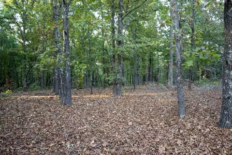 0000 Mcfarr Trl, Ravenden, AR 72459 photo 45