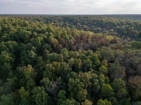 0000 Mcfarr Trl, Ravenden, AR 72459 photo 6