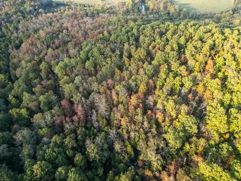 0000 Mcfarr Trl, Ravenden, AR 72459 photo 10