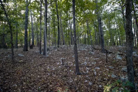 0000 Mcfarr Trl, Ravenden, AR 72459 photo 36