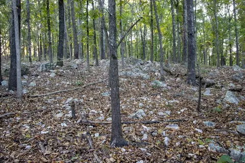 0000 Mcfarr Trl, Ravenden, AR 72459 photo 37
