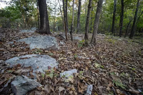 0000 Mcfarr Trl, Ravenden, AR 72459 photo 34