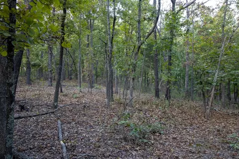 0000 Mcfarr Trl, Ravenden, AR 72459 photo 29